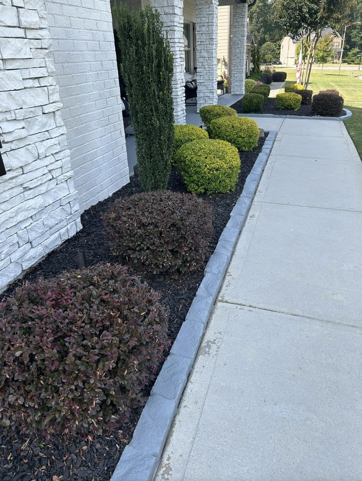 Professional Landscape Installation