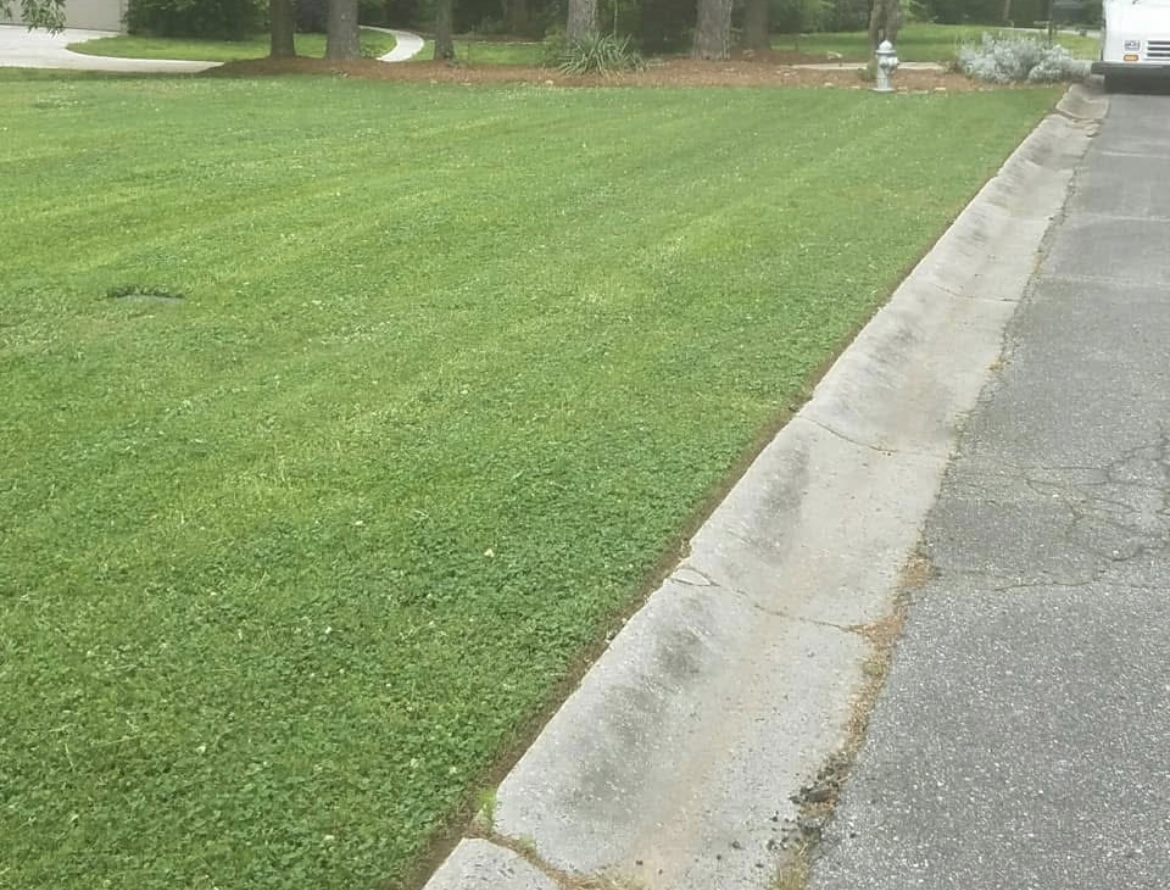 Premium Lawn Maintenance