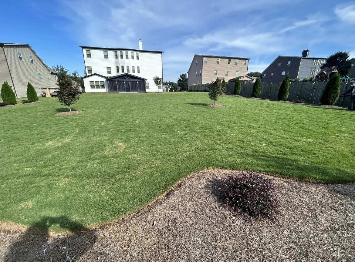 Professional Lawn Maintenance